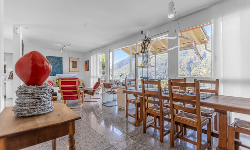 INCANTEVOLE CASA 4.5 NEL VERDE CON VISTA A BELLINZONA-DARO (1)