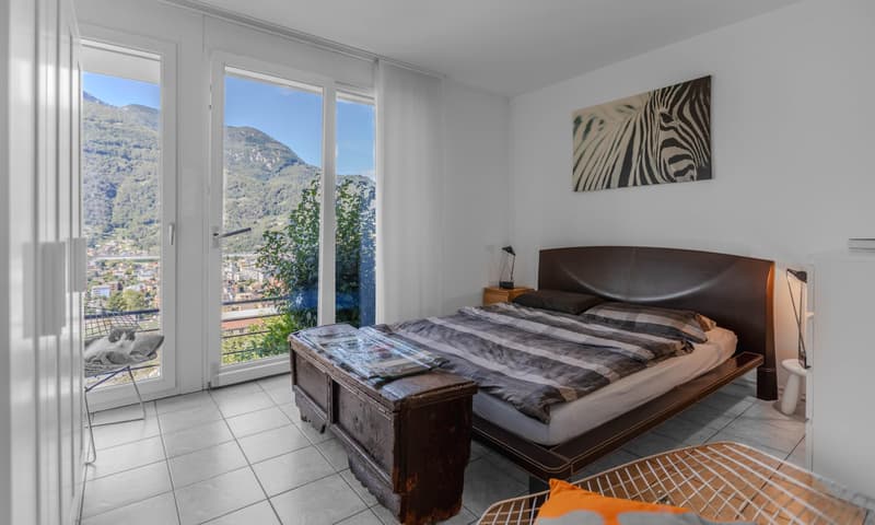 INCANTEVOLE CASA 4.5 NEL VERDE CON VISTA A BELLINZONA-DARO (7)