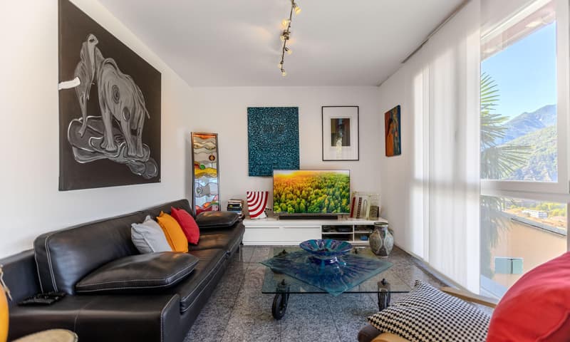 INCANTEVOLE CASA 4.5 NEL VERDE CON VISTA A BELLINZONA-DARO (5)