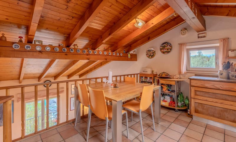 ELEGANTE CASA DI 3.5 LOCALI CON GIARDINO A CASTEL SAN PIETRO (3)
