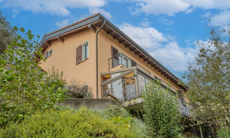 ELEGANTE CASA DI 3.5 LOCALI CON GIARDINO A CASTEL SAN PIETRO (9)