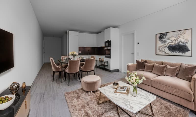 MODERNO E SPLENDIDO 3.5 LOCALI CON TERRAZZA A GENESTRERIO (3)