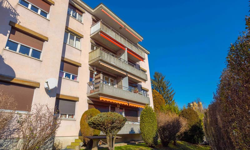 3.5 LOCALI RISTRUTTURATO CON VISTA APERTA NEL VERDE A STABIO (9)