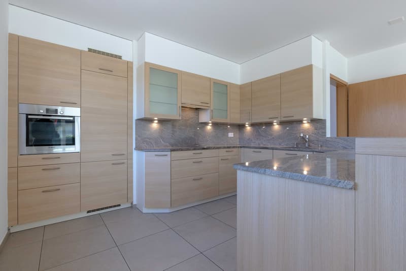 AMPIA VILLA 5.5 CON GIARDINO E VISTA LAGO IN COLLINA D'ORO (6)