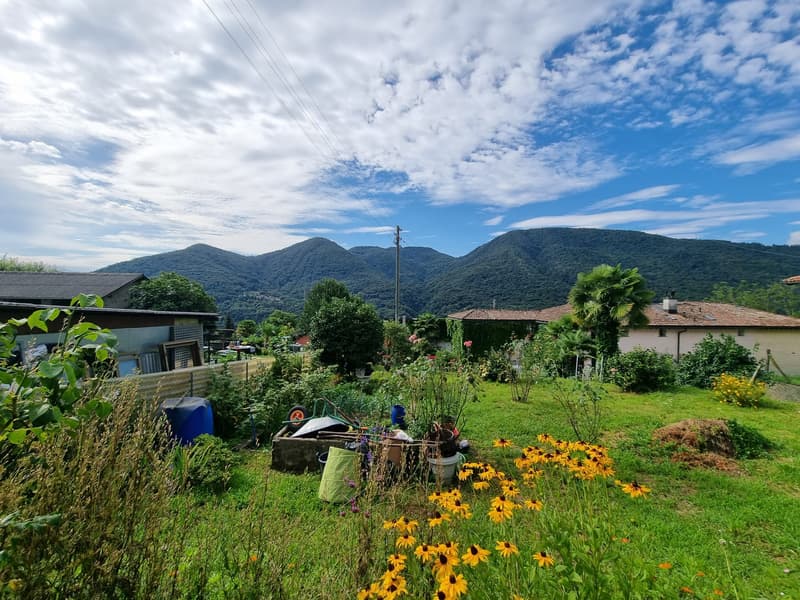 SPLENDIDO TERRENO EDIFICABILE CON PROGETTO A MONTEGGIO (3)