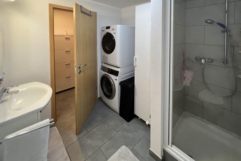 ACCOGLIENTE DUPLEX DI 4.5 LOCALI CON AREA ESTERNA A MAGLIASO (9)