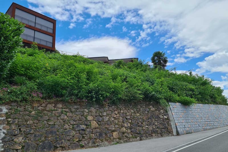 TERRENO CON VISTA LAGO E PROGETTO PER UNA VILLA A NEGGIO (5)