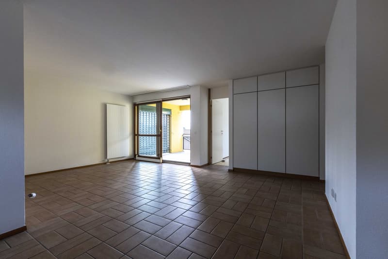 SPAZIOSO 4.5 LOCALI CON TERRAZZA E VISTA APERTA A CADEMPINO (3)