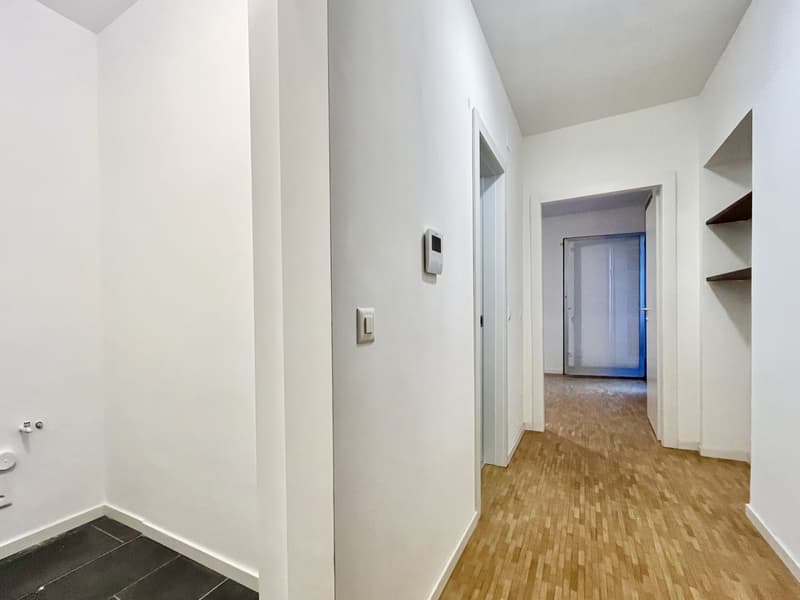 INVESTIMENTO IDEALE - MONOLOCALE A REDDITO A COLDRERIO (6)