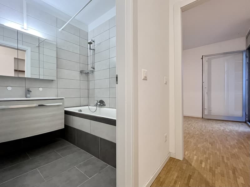 INVESTIMENTO IDEALE - MONOLOCALE A REDDITO A COLDRERIO (4)