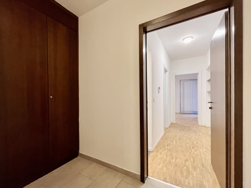 INVESTIMENTO IDEALE - MONOLOCALE A REDDITO A COLDRERIO (7)