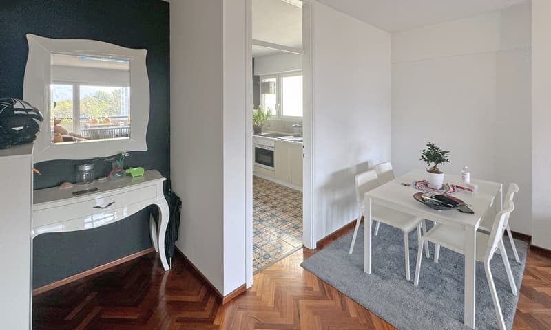 OCCASIONE - AMPIO 3.5 LOCALI CON BOX E VISTA APERTA A LUGANO (3)