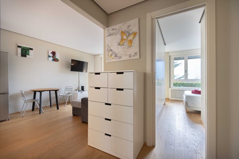 STUPENDO 2.5 LOCALI VISTA LAGO CON GIARDINO A BISSONE (5)