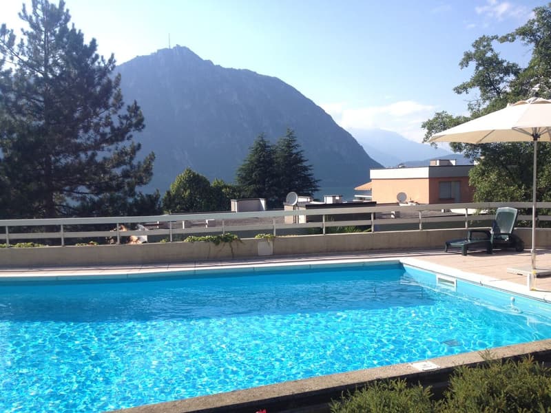 STUPENDO 2.5 LOCALI VISTA LAGO CON GIARDINO A BISSONE (9)