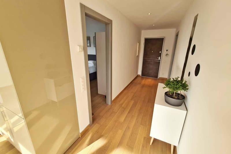 BELLISSIMO 2.5 LOCALI IN ZONA CENTRALE E SERVITA A MASSAGNO (4)