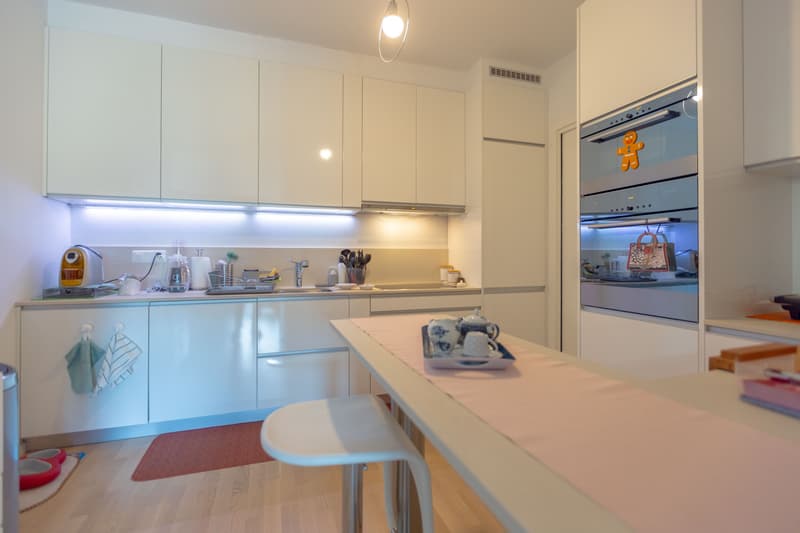 AMPIO E MODERNO 4.5 ALTO STANDING CON TERRAZZA A BREGANZONA (3)