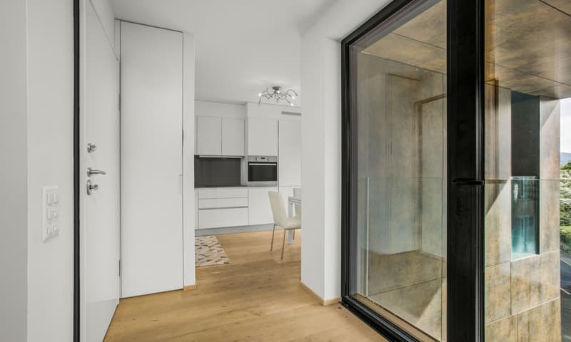 MODERNO 3.5 LOCALI IN RESIDENZA DI ALTO STANDING A MASSAGNO (3)