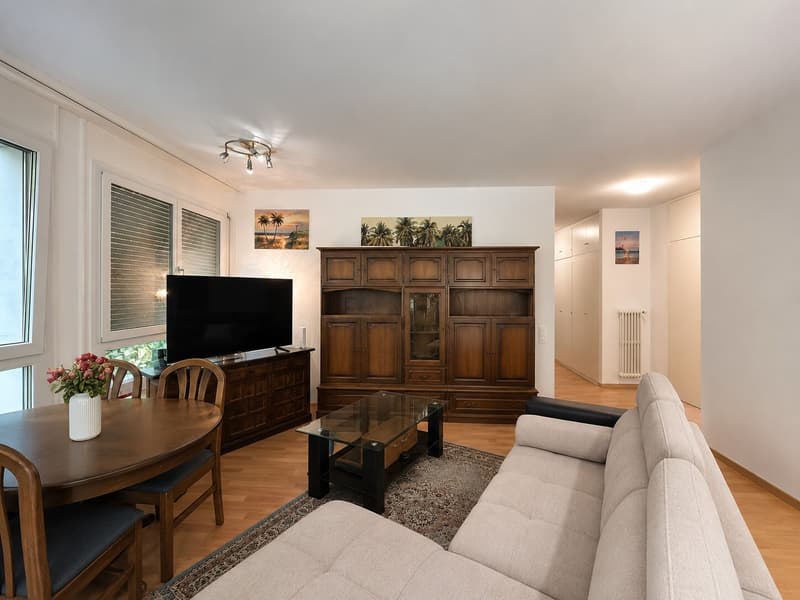 GRANDE 3.5 LOCALI CON AMPIO GIARDINO PRIVATO A LUGANO BESSO (6)