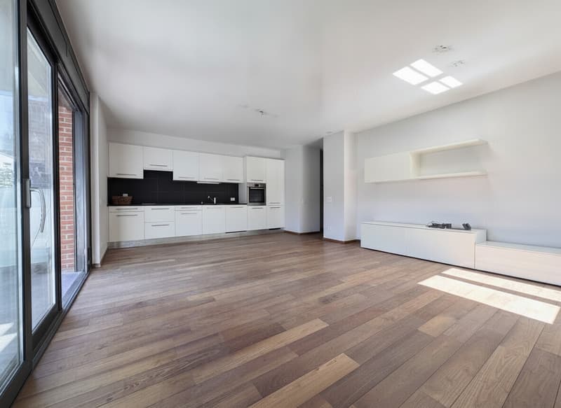 AMPIO 4.5 LOCALI CON TERRAZZA E POSTEGGI A LUGANO PREGASSONA (5)