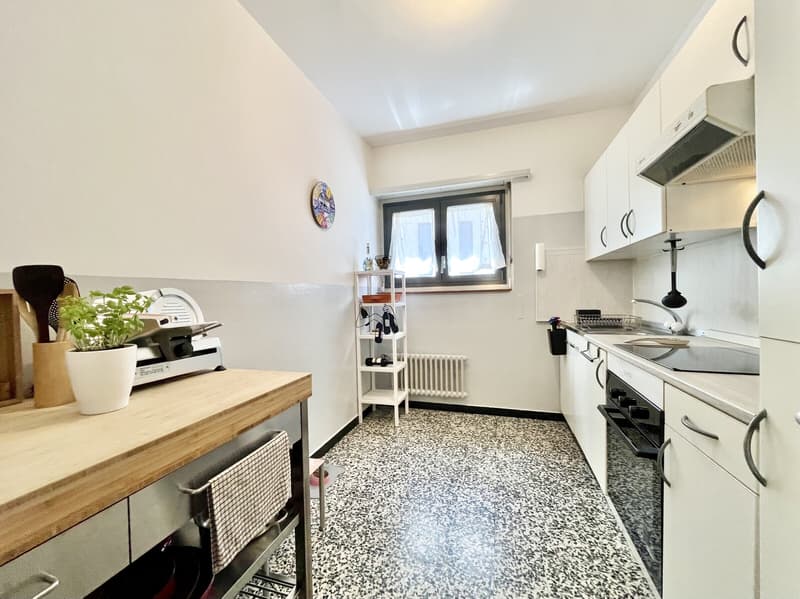 AMPIO 4.5 LOCALI CON DUE TERRAZZE IN CENTRO BELLINZONA (6)