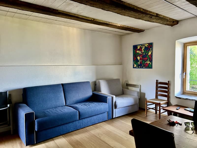 BELLISSIMO 2.5 LOCALI AMMOBILIATO VISTA LAGO A BRISSAGO (6)