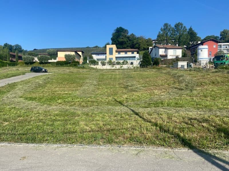 TERRENO DI 600 MQ CON LICENZA PER UNA VILLA A STABIO (2)