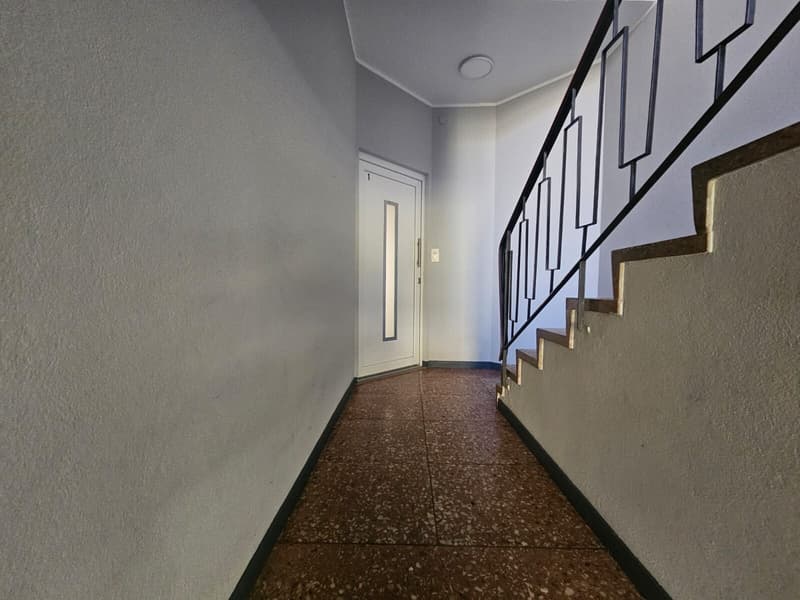 MODERNO 3.5 LOCALI PIANO TERRA IN ZONA SERVITA A LUGANO (8)