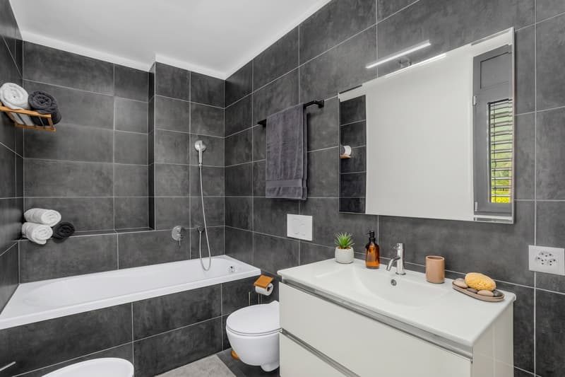 ELEGANTE APPARTAMENTO 4.5 LOCALI CON TERRAZZA A DINO (6)
