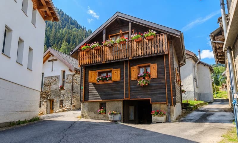 GRANDE RUSTICO RINNOVATO DI 10 LOCALI IN VAL DI BLENIO (1)