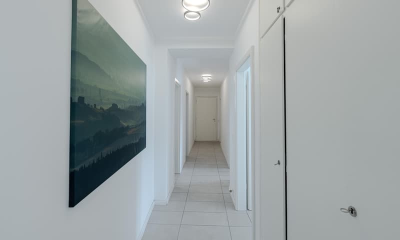 OCCASIONE - AMPIO 3.5 LOCALI CON BALCONE A LUGANO FIGINO (5)