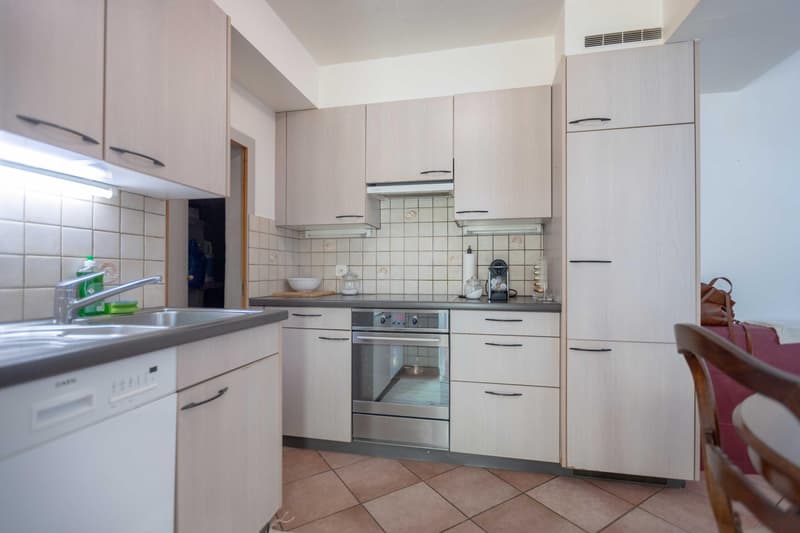 SPLENDIDO E COMODO 2.5 LOCALI CON CAMINO A CURIO (3)