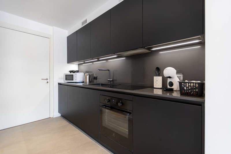 ELEGANTE 1.5 LOCALI COME NUOVO A LUGANO PREGASSONA (1)