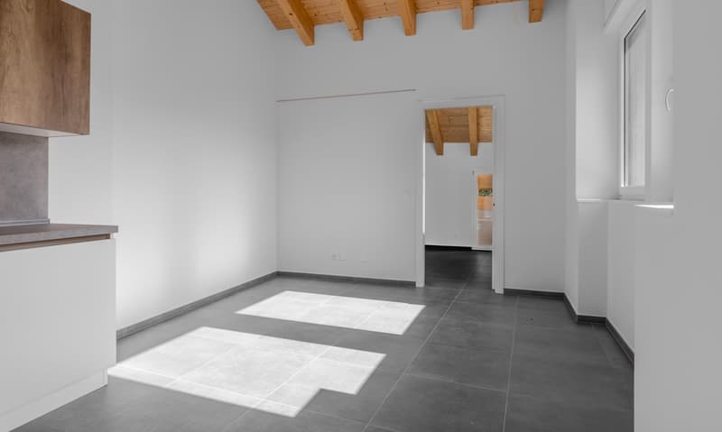 3.5 LOCALI DI NUOVA COSTRUZIONE CON BALCONE A LOPAGNO (5)