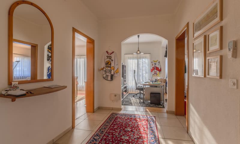 VILLA DI 10 LOCALI CON AMPIO GIARDINO A MORBIO INFERIORE (10)