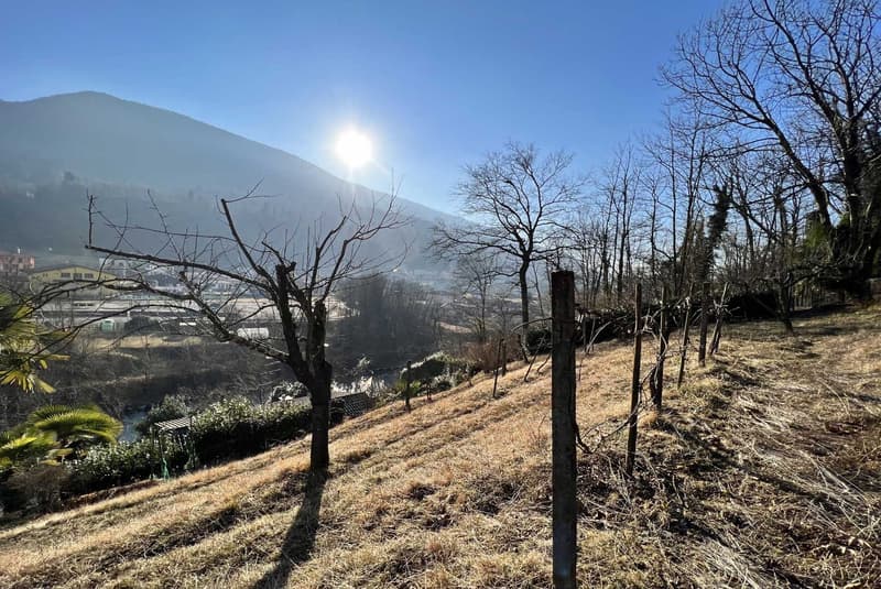 OCCASIONE - ENORME TERRENO EDIFICABILE A PONTE CREMENAGA (1)