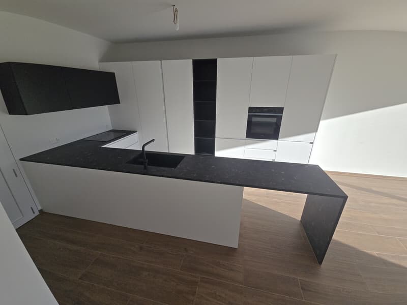 NUOVE E MODERNE VILLETTE DI 5.5 LOCALI CON GIARDINO A MANNO (3)