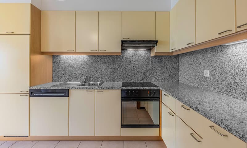 AFFARE - MERAVIGLIOSA CASA DI TESTA DI 5.5 LOCALI A VERNATE (5)