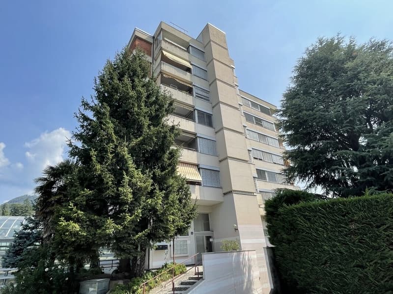 LUMINOSO 3.5 LOCALI RISTRUTTURATO A REDDITO A CHIASSO (9)