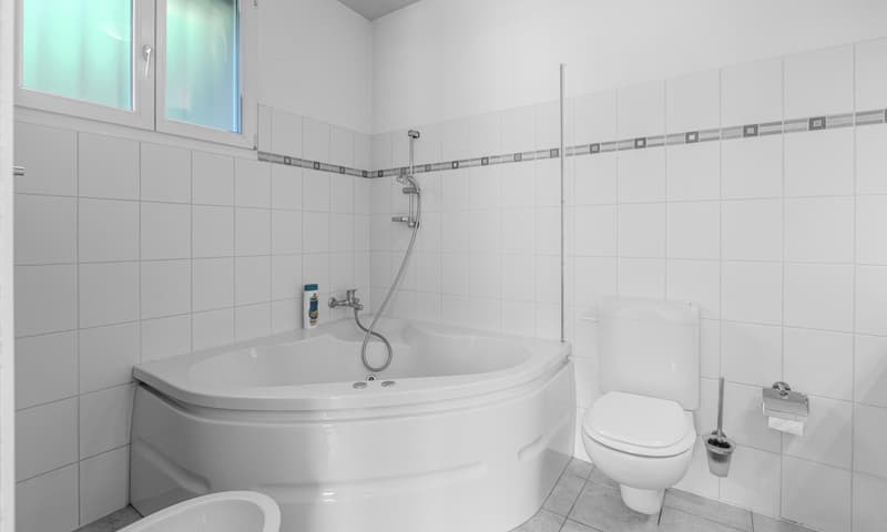 COMODA CASA 4.5 LOCALI NEL VERDE CON VISTA A BELLINZONA-DARO (8)
