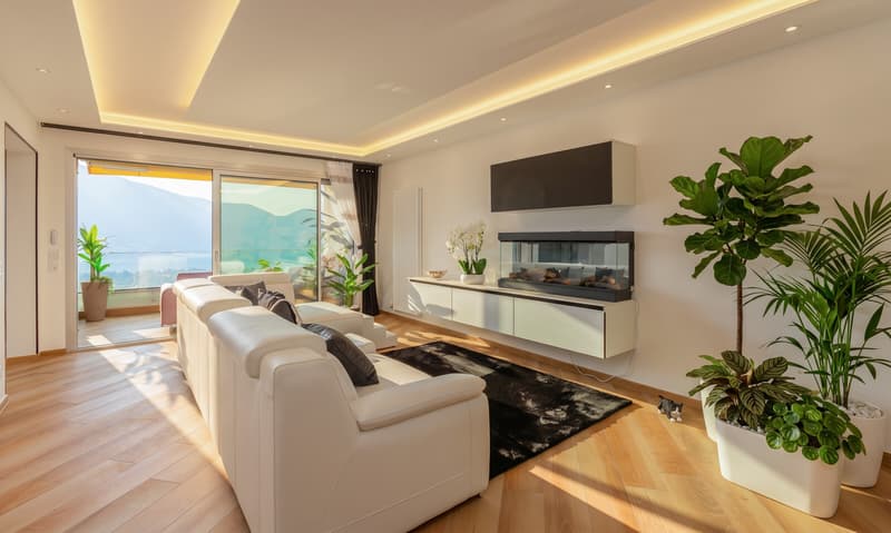 MERAVIGLIOSO 3.5 LOC. ARREDATO VISTA LAGO E PISCINA LOCARNO (2)
