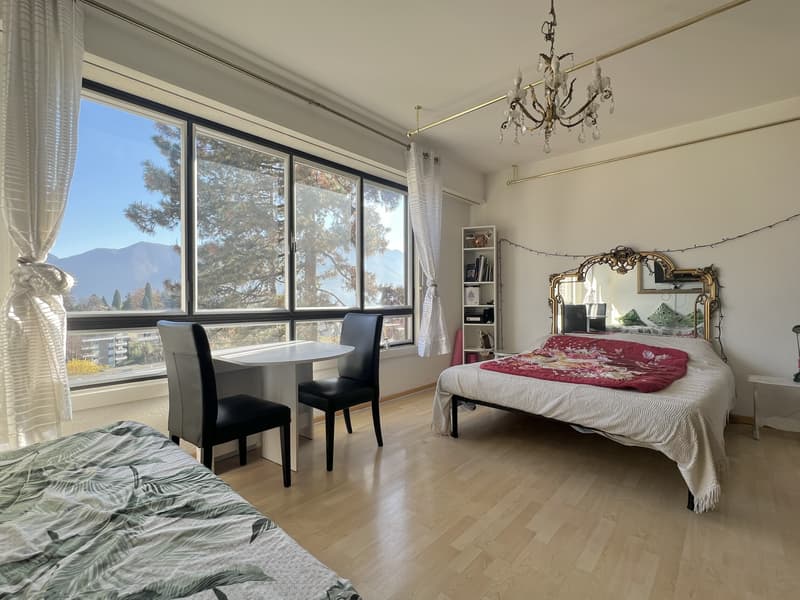 AFFITTASI ELEGANTE 1.5 LOCALI CON VISTA APERTA A LUGANO (1)