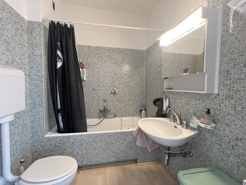 AFFITTASI ELEGANTE 1.5 LOCALI CON VISTA APERTA A LUGANO (6)