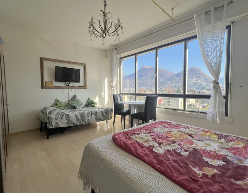 AFFITTASI ELEGANTE 1.5 LOCALI CON VISTA APERTA A LUGANO (2)