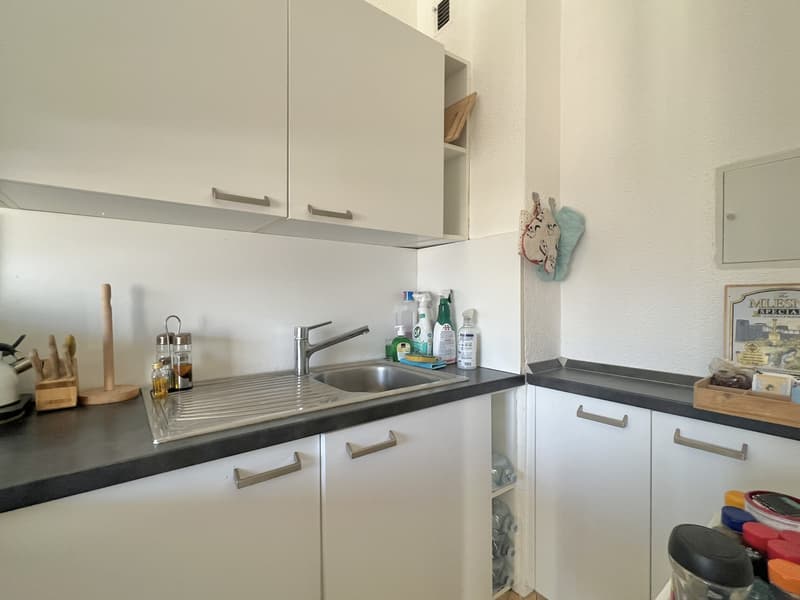 AFFITTASI ELEGANTE 1.5 LOCALI CON VISTA APERTA A LUGANO (5)