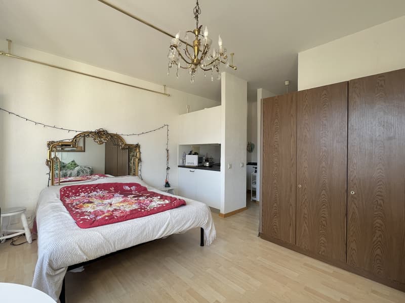 AFFITTASI ELEGANTE 1.5 LOCALI CON VISTA APERTA A LUGANO (3)