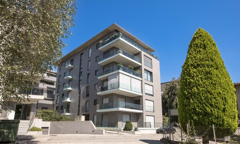 STUPENDO E MODERNO 2.5 LOCALI CON COMODO GIARDINO A MASSAGNO (9)
