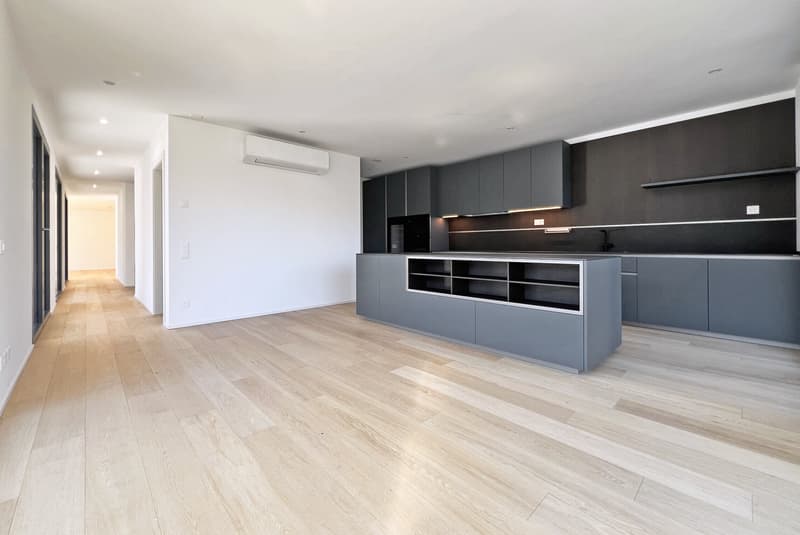 MAGNIFICA VILLA 7.5 LOCALI CON VISTA DA SOGNO A VICO MORCOTE (4)