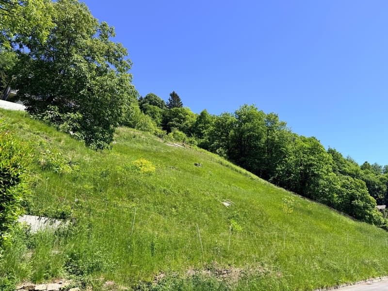 TERRENO EDIFICABILE DI 1237 MQ CON VISTA PANORAMICA - ARANNO (3)