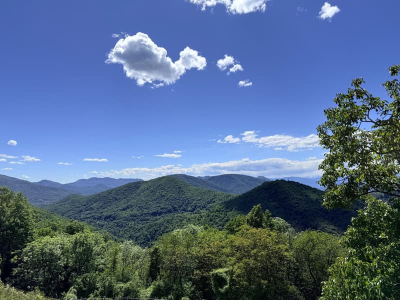 TERRENO EDIFICABILE DI 1237 MQ CON VISTA PANORAMICA - ARANNO (4)