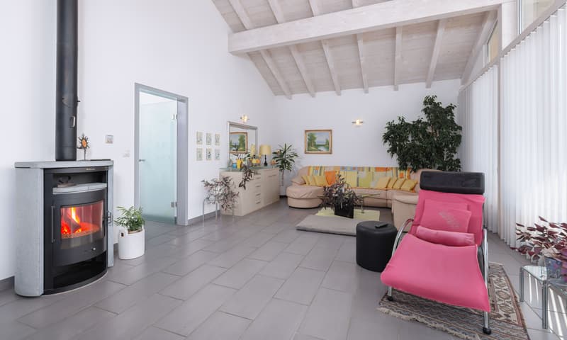 SPLENDIDA VILLA 8.5 LOCALI CON GIARDINO E GROTTO A GIUBIASCO (2)